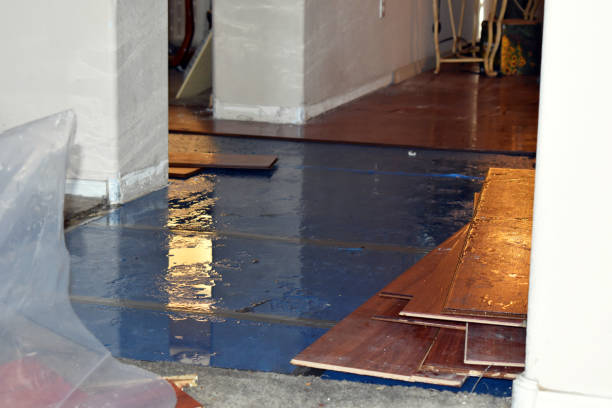 Professional Basement Flood Cleanup technician working in East Meadow, NY